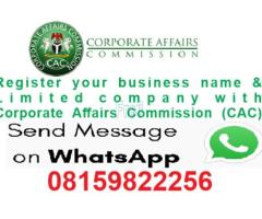 CAC Limited Liability Company registration-Dakingari, Kebbi State