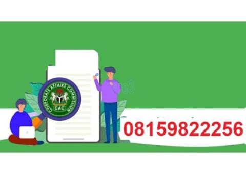 CAC Limited Liability Company annual return in Owan East, Edo State